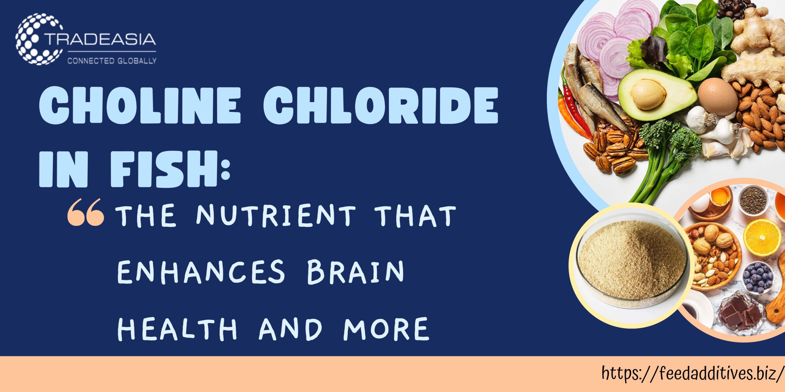 Choline Chloride in Fish The Nutrient that Enhances Brain Health and