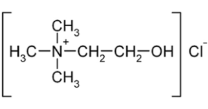 cc1
