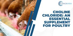 chloride