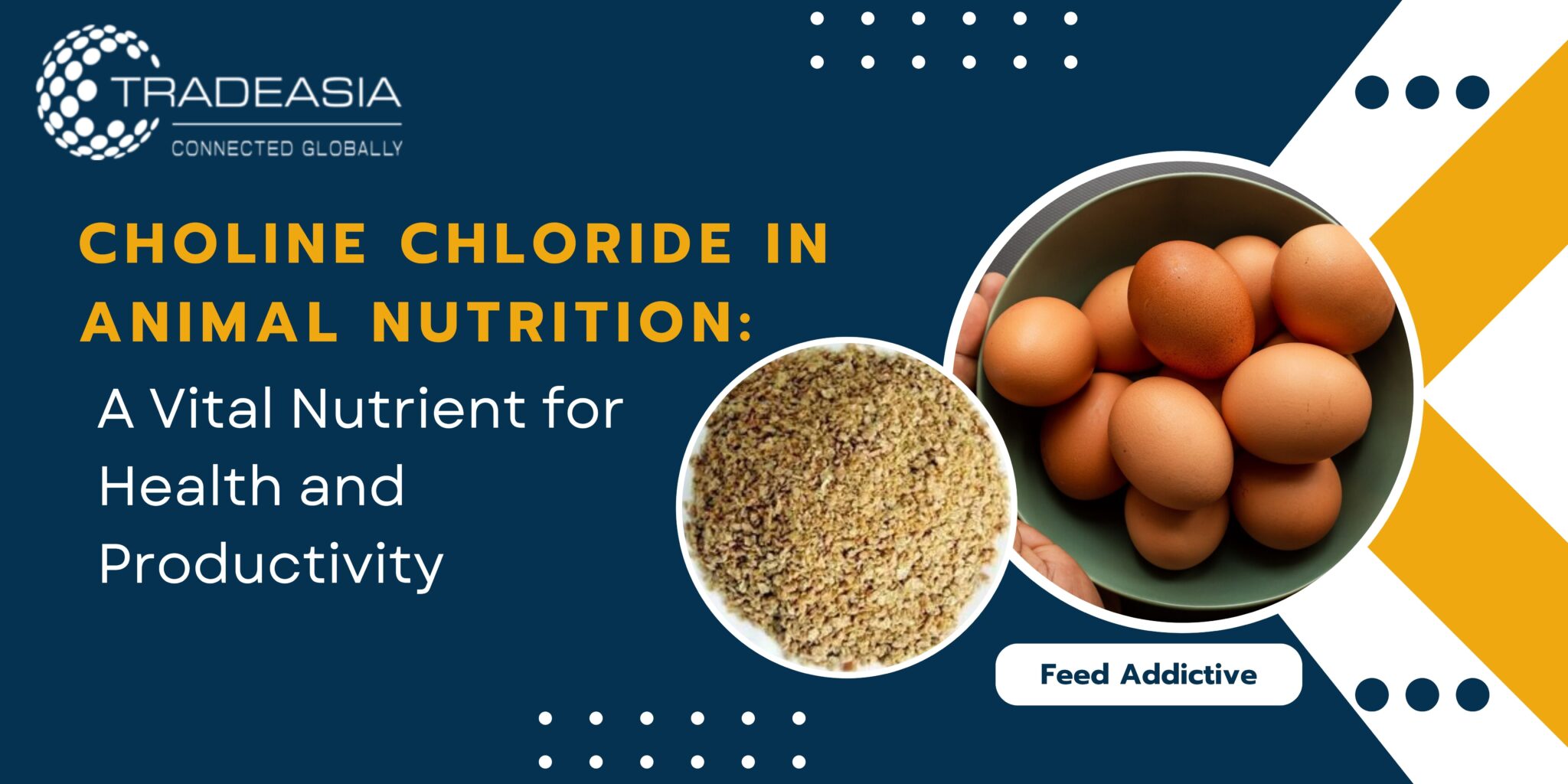 Choline Chloride in Animal Nutrition for Health