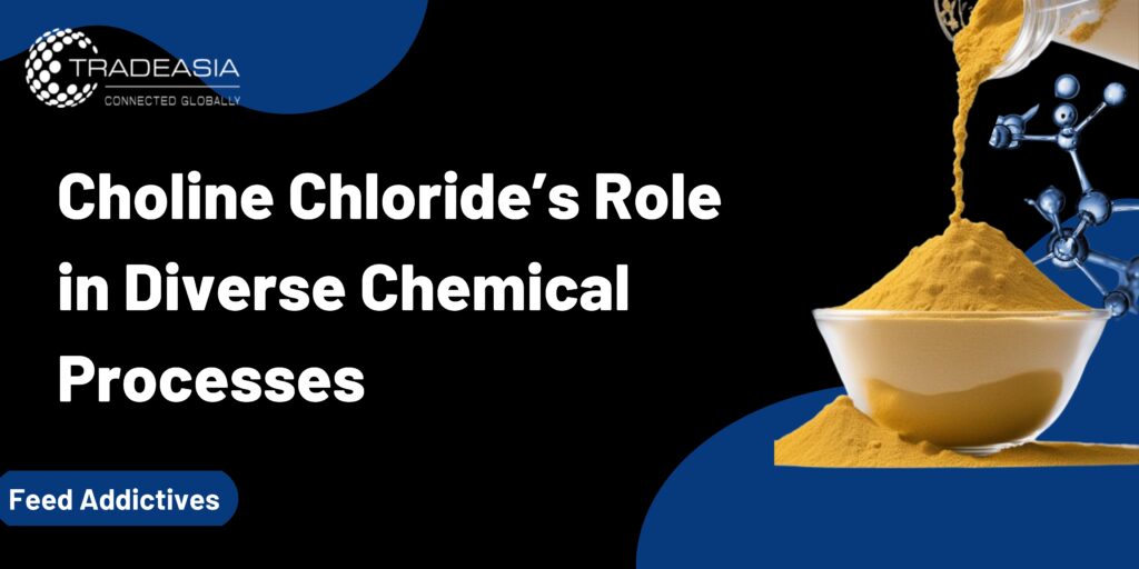Choline Chloride's Role in Diverse Chemical Processes