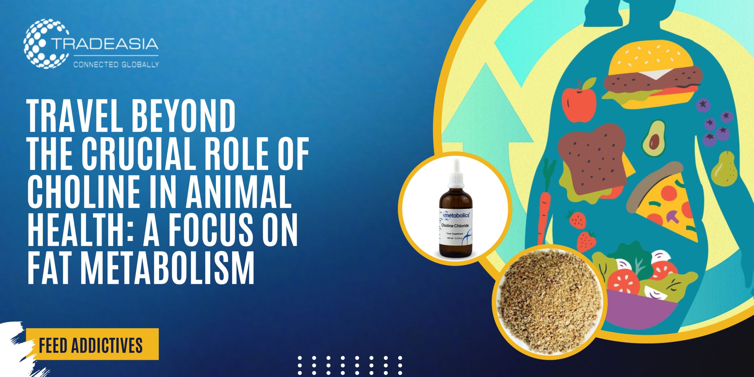 The Crucial Role of Choline in Animal Health: A Focus on Fat Metabolism