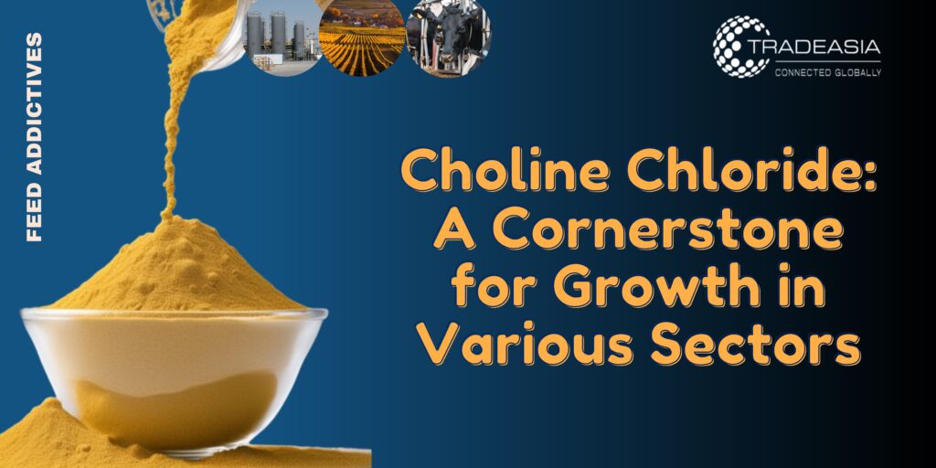 Choline Chloride: A Cornerstone for Growth in Various Sectors